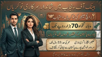 Career Opportunities in Banking Bank of Punjab Branch Manager Jobs 2026