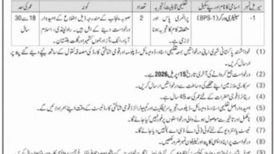 Islamabad Government Organization Jobs 2026 For Sanitary Worker