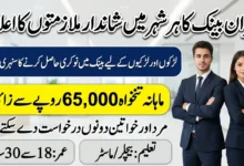 Meezan Bank Assistant Relationship Manager Jobs 2026 Apply Online