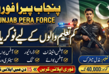 PERA Force New Jobs In Pakistan For Driver, Cook And Other Staff