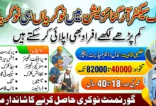 Public Sector Organization Government Jobs 2026 Apply Now For Clerk, Engineer, Cook And Other Staff