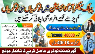 Public Sector Organization Government Jobs 2026 Apply Now For Clerk, Engineer, Cook And Other Staff