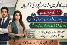 Punjab Colleges Jobs 2026 For Lecturer And Other Staff