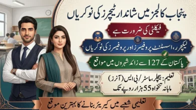 Punjab Colleges Jobs 2026 For Lecturer And Other Staff