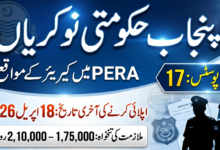 Punjab Enforcement and Regulatory Authority PERA Force Jobs 2026