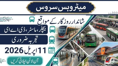 Punjab Metro Bus Service Jobs 2026