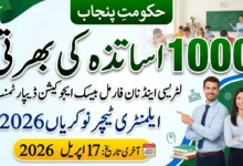 Teaching Jobs 2026 – Apply Online for Literacy & NFBE Program