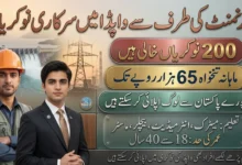 WAPDA Jobs 2026 Latest Government Job Opportunities