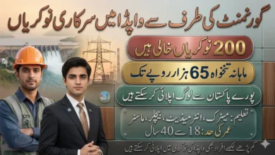 WAPDA Jobs 2026 Latest Government Job Opportunities