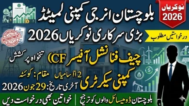 Balochistan Energy Company Limited (BECL) Jobs 2026 – Chief Financial Officer and Company Secretary Vacancies