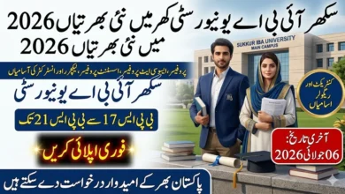 Sukkur IBA University Jobs 2026 – Apply Online for Professor, Associate Professor, Assistant Professor, Lecturer and Instructor Positions